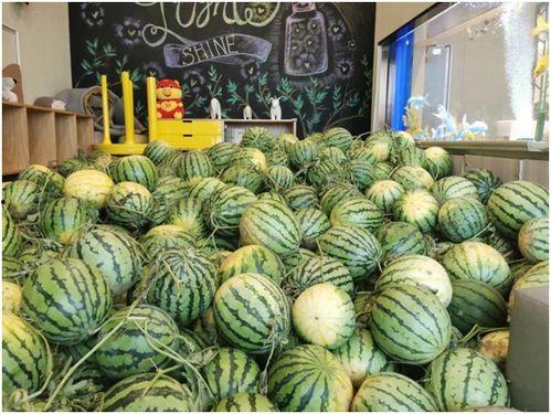 今日吃瓜地址,探寻幕后真相