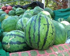 热门大瓜汇总 吃瓜群众在七零