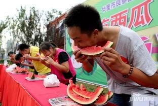 今日吃瓜每日大赛,盘点娱乐圈最新热点事件