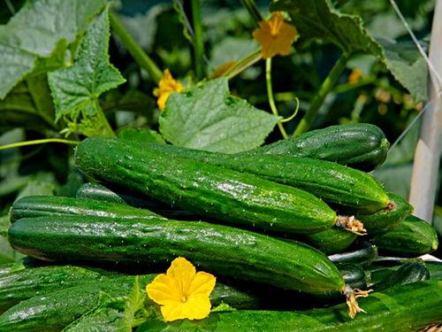 今日吃瓜热门大瓜每日更新,紧跟热门大瓜，揭秘娱乐圈最新动态